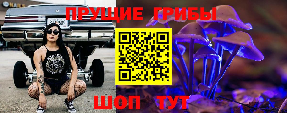 Псилоцибиновые грибы мицелий  Галлюциногенные грибы мухоморы  Кандалакша  купить наркотик  Вход с VPN 