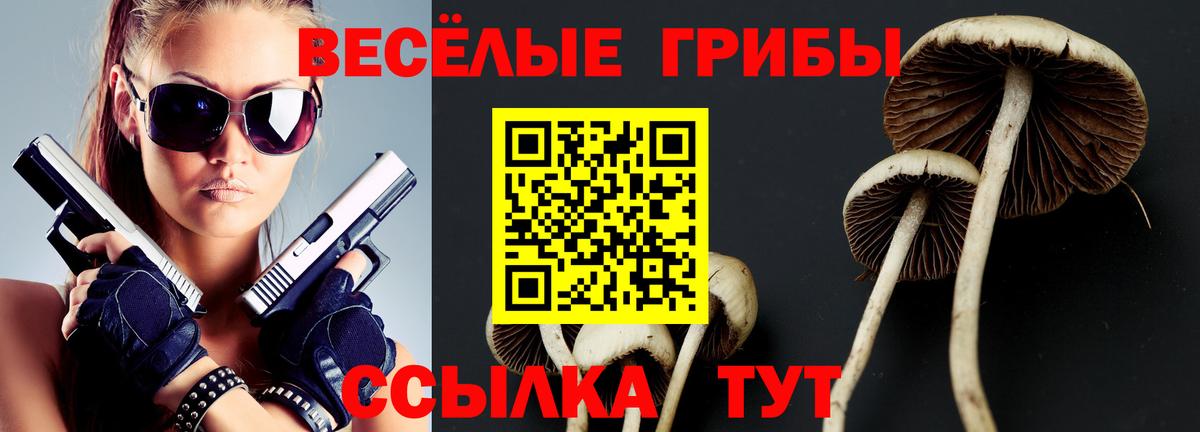 Галлюциногенные грибы Psilocybe Кандалакша